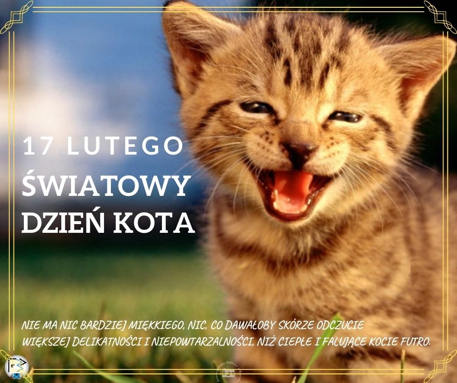 17 lutego Światowy Dzień Kota